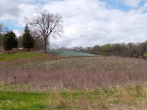 Hillside with trees and prairie grasses